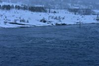 Der Rystraumen - hier wirken starke Gezeiten - die hohe Strömungsgeschwindigkeiten von bis zu 6 - 15 km/h (6 - 8 kn) erzeugen können