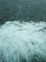 Die Welle
