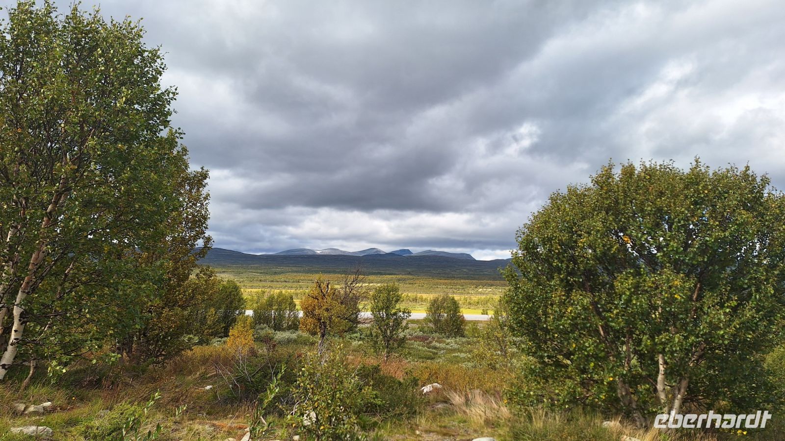 Dovrefjell