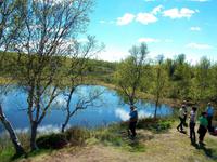 Dovrefjell