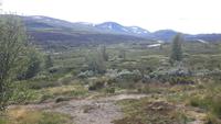 Dovrefjell