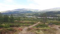 Dovrefjell