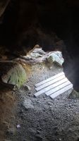 Eingang Bärenhöhle