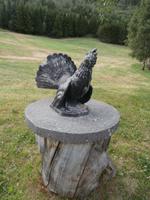 Elveseter  Auerhahn