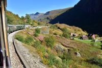 Es folgt direkt ein weiteres Highlight - Fahrt mit der Flåmsbane - der steilsten Eisenbahnstrecke der Welt (ohne Hilfsmittel) - von  Flåm nach Myrdal