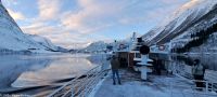 Fakultativer Bootsausflug - Silent Hjørundfjord - Nebenfjord Norangsfjord