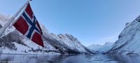 Fakultativer Bootsausflug - Silent Hjørundfjord - Nebenfjord Norangsfjord
