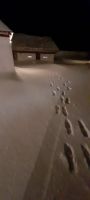 Festung Vardö im Schnee