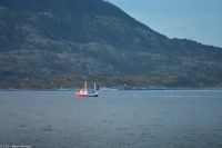 Fischer im Nordland