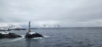 Fischerfrau an Hafeneinfahrt Svolvaer
