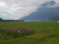 Fjærland