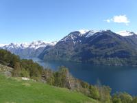 Fjordblick