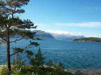 Fjordlandschaft 