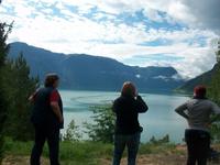 Fjordlandschaft 