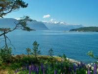 Fjordlandschaft