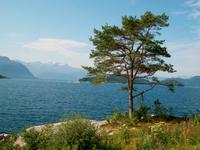 Fjordlandschaft