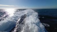 Fjordline FSTR - Schnellfähre von Kristiansand nach Hirtshals (DK)