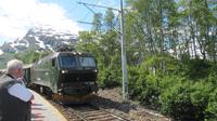 Flam - Fahrt mit der Flambahn in Vatnahalsen