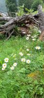 Flam- kleine Wanderung 