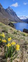 Frühling in Urke