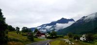 Frühnebel