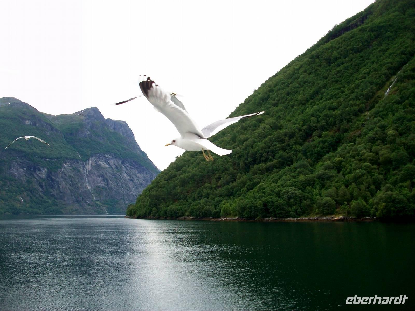 Geirangerfjord