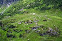 Geirangerfjord