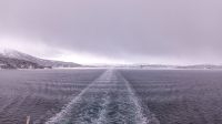 Gisund - auch 