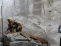 Gletschermuseum