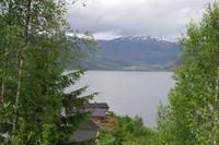 Hafslo