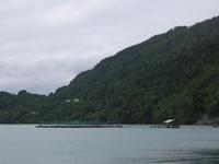 Hardanger Fjord