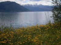 Hardangerfjord