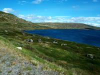 Hardangervidda