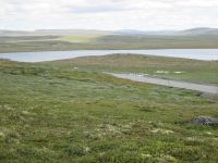 Hardangervidda