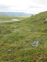 Hardangervidda
