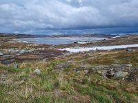Hardangervidda