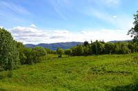 Helgeland, Elch
