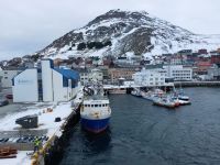 Honnigsvag 