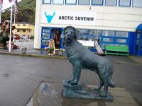 Honningsvar