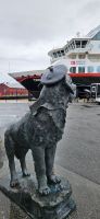 Hund Banse am Hafen Honningsvag
