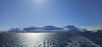 Hurtigrute vor Tromsö