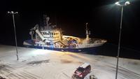 Hurtigruten - Finnmarken-184
