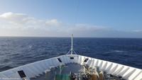 Hurtigruten - MS Nordnorge (102)