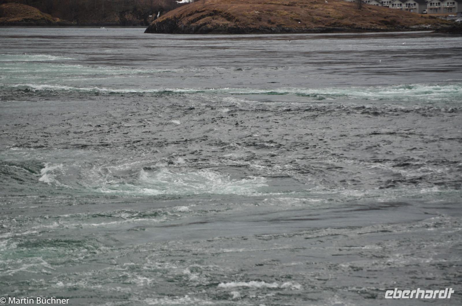 Hurtigruten - MS Nordnorge (93)