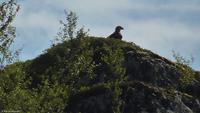 Hurtigruten - MS Nordnorge - Eberhardt-Travel - Reiseleiter Martin Büchner-1250009
