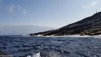 Hurtigruten - Polarlys-172