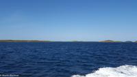 Hurtigruten - Polarlys-303