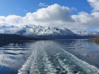 Hurtigruten 