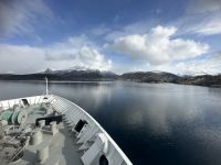 Hurtigruten 