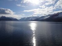 Hurtigruten 